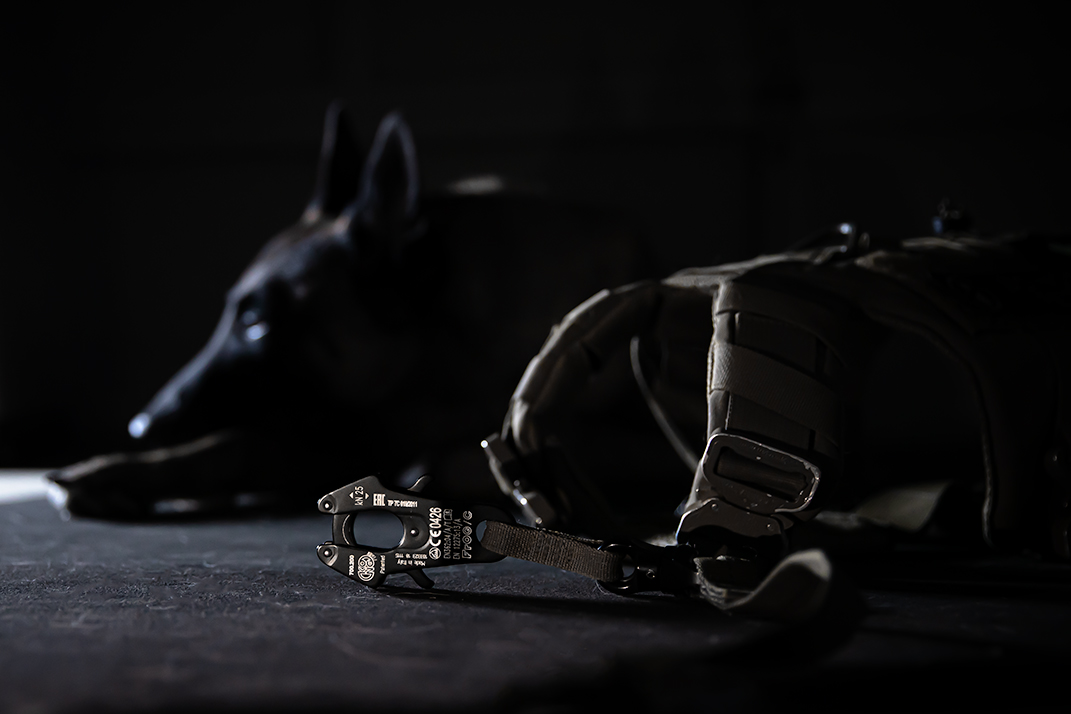 LOF K9 StreetFighter & Dog Leash