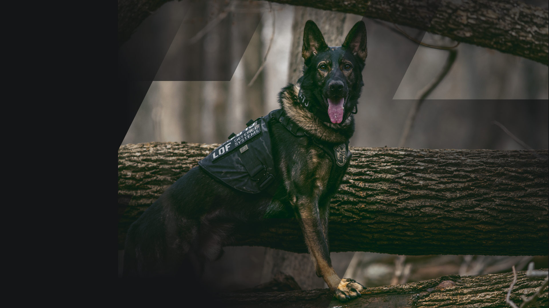 Protecting K9 Heroes